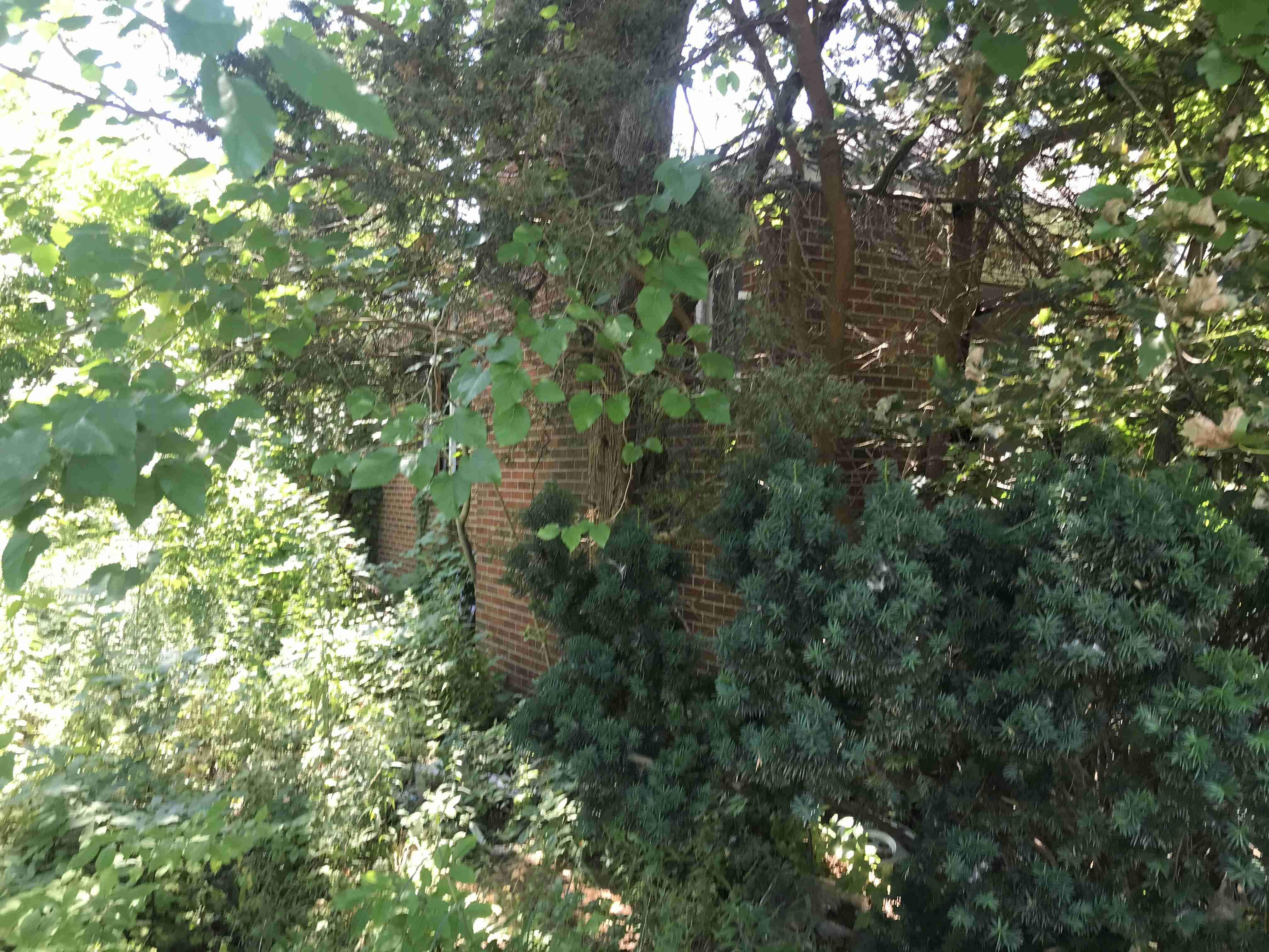 Photo Aug 21, 1 13 19 PM.jpg